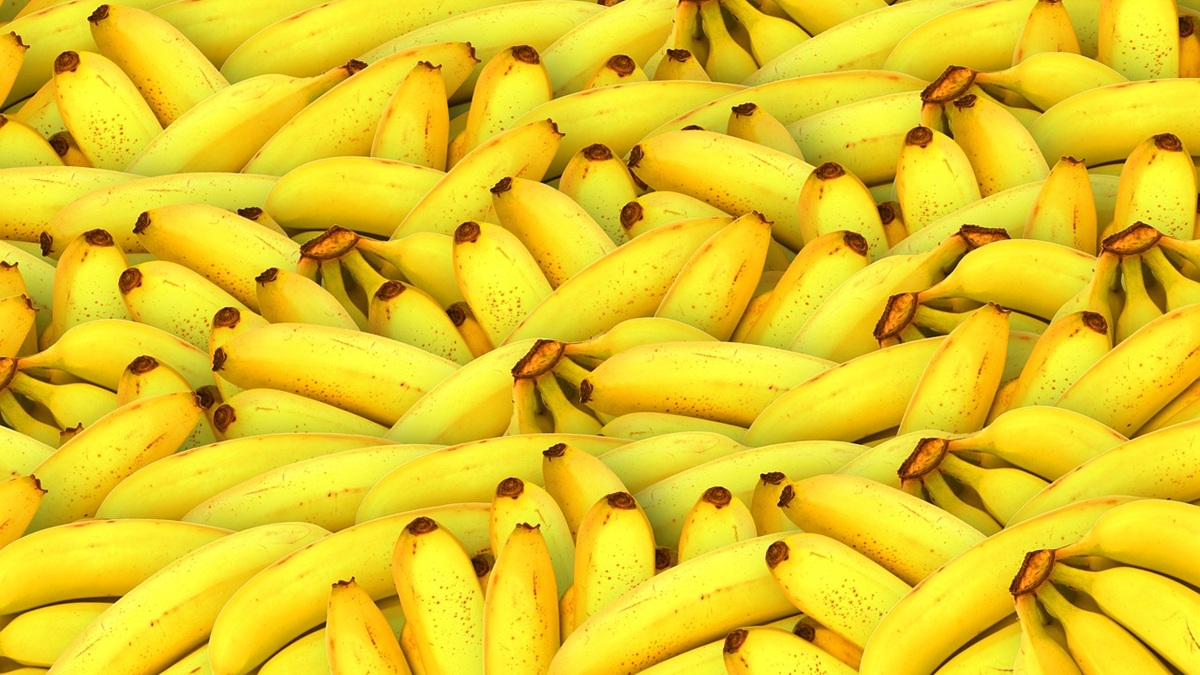 Proba 5 Advanced Ripening Technology Backed by Global Expertise.jpg